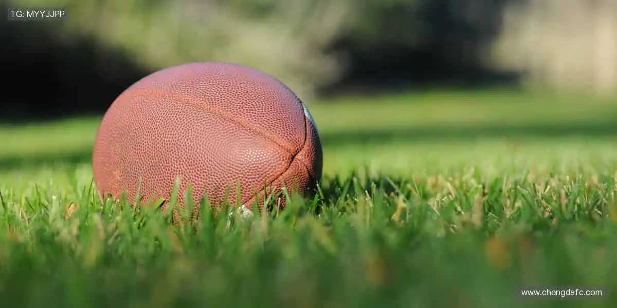 🏆巅峰对决，见证冠军诞生的荣耀瞬间！🏅